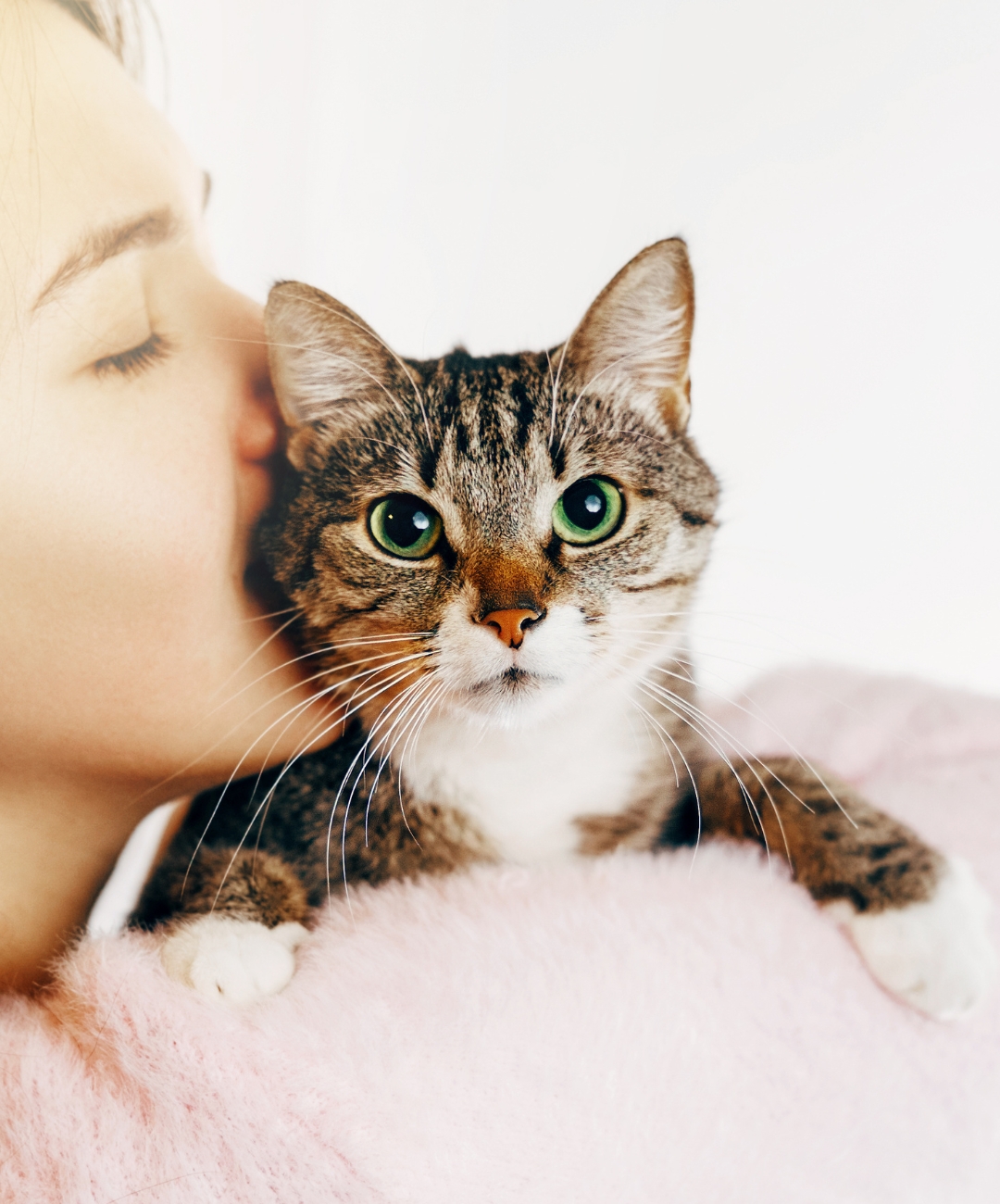 Woman giving a sweet kiss to a furry cat