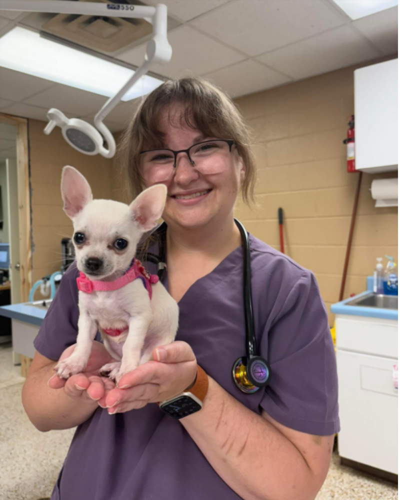 Dr. Anna Richardson, a veterinarian, is standing outdoors in front of lush green foliage. She is wearing teal scrubs with a stethoscope draped around her neck and smiling warmly at the camera. The natural setting and her relaxed posture give the impression of a caring and approachable professional.